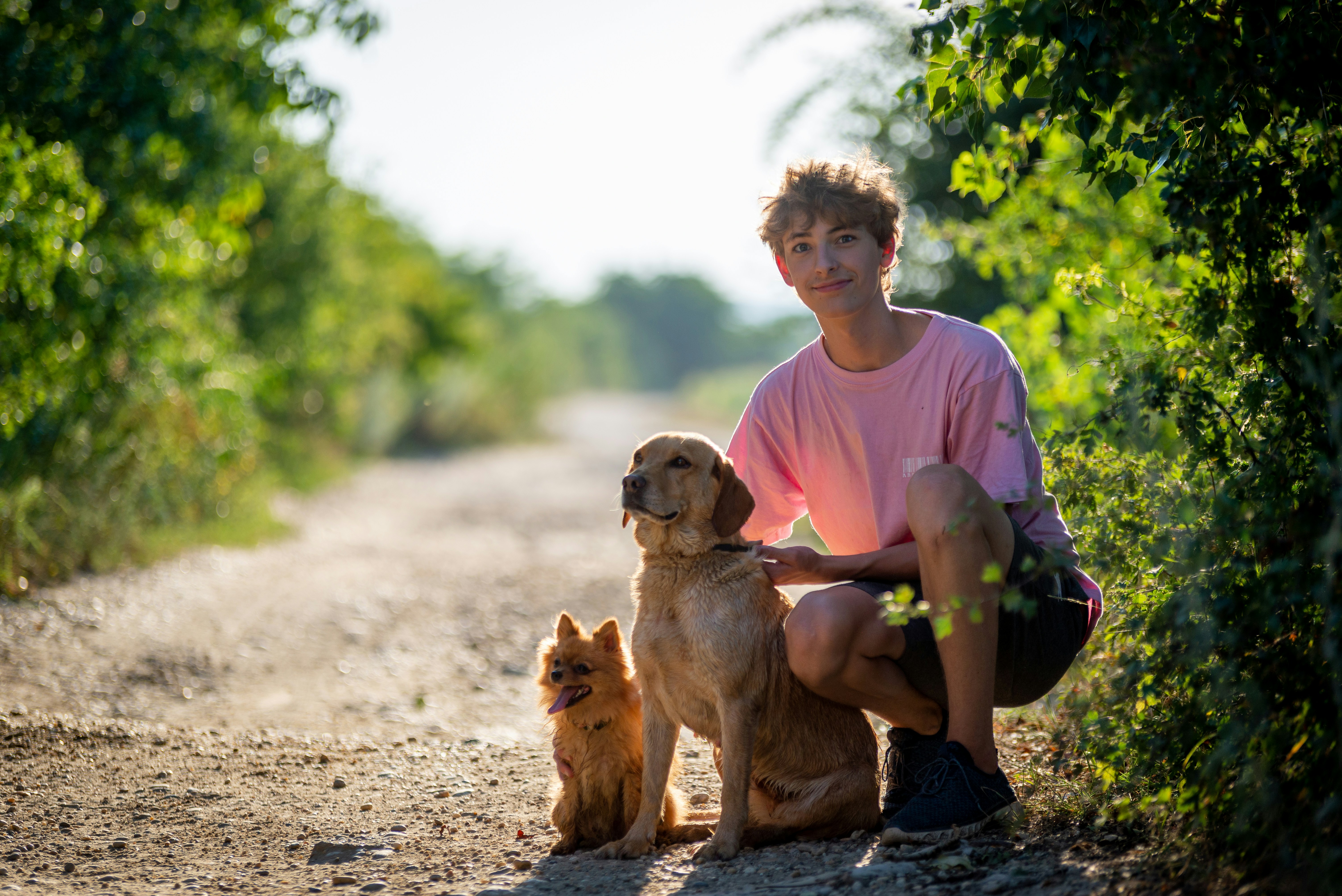 成品网站源码货源1688官方版 - 1688官方版对接方向封面