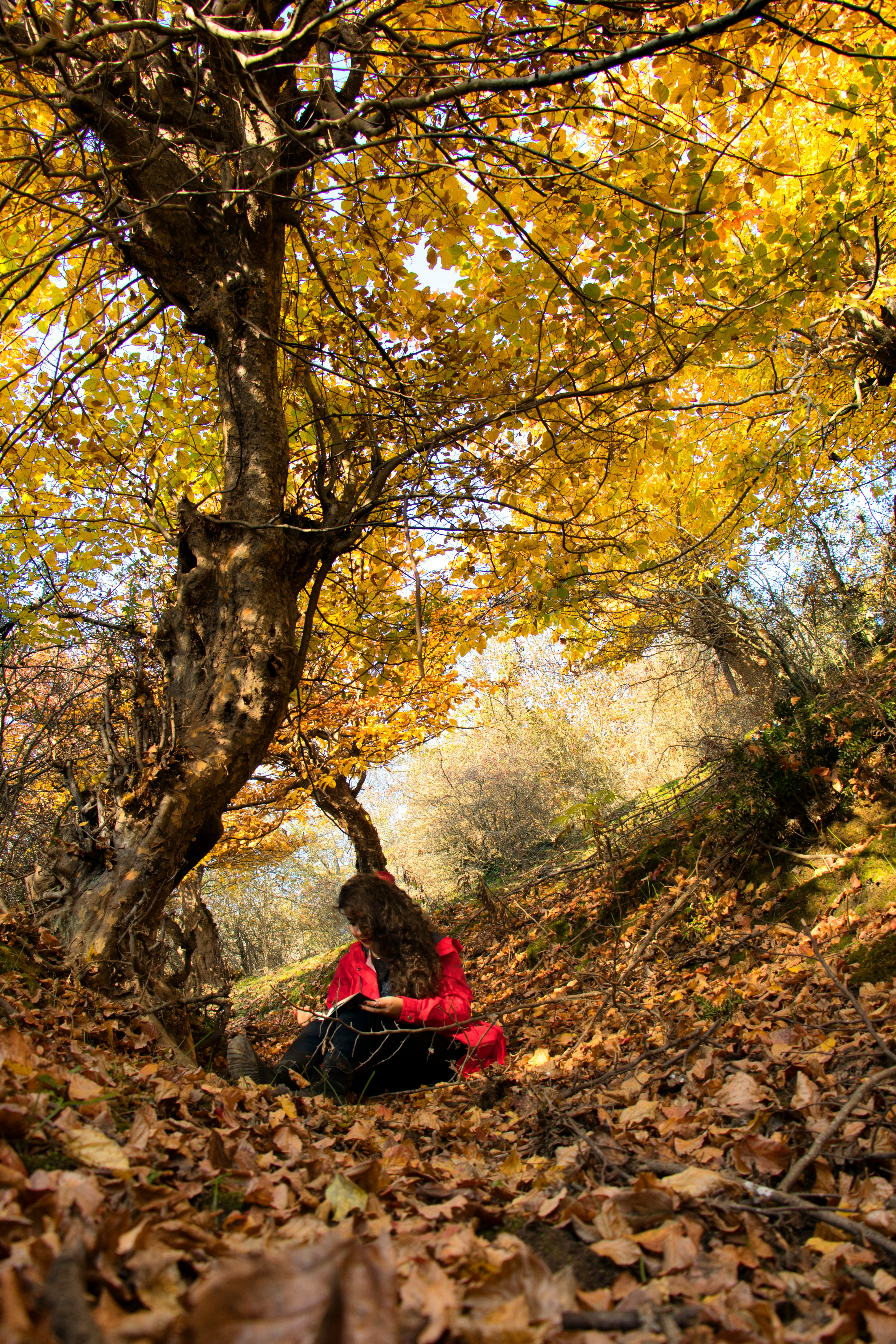 成品网站源码货源1688官方版 - 电商分销运营方向封面