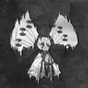 皮皮虾lite版